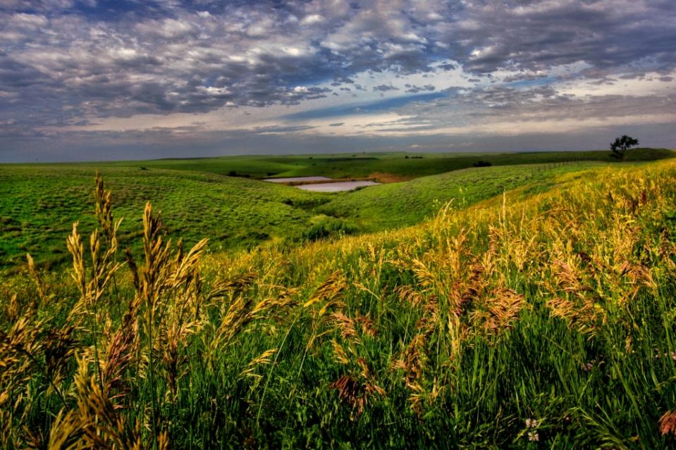 Kansas Flint Hills