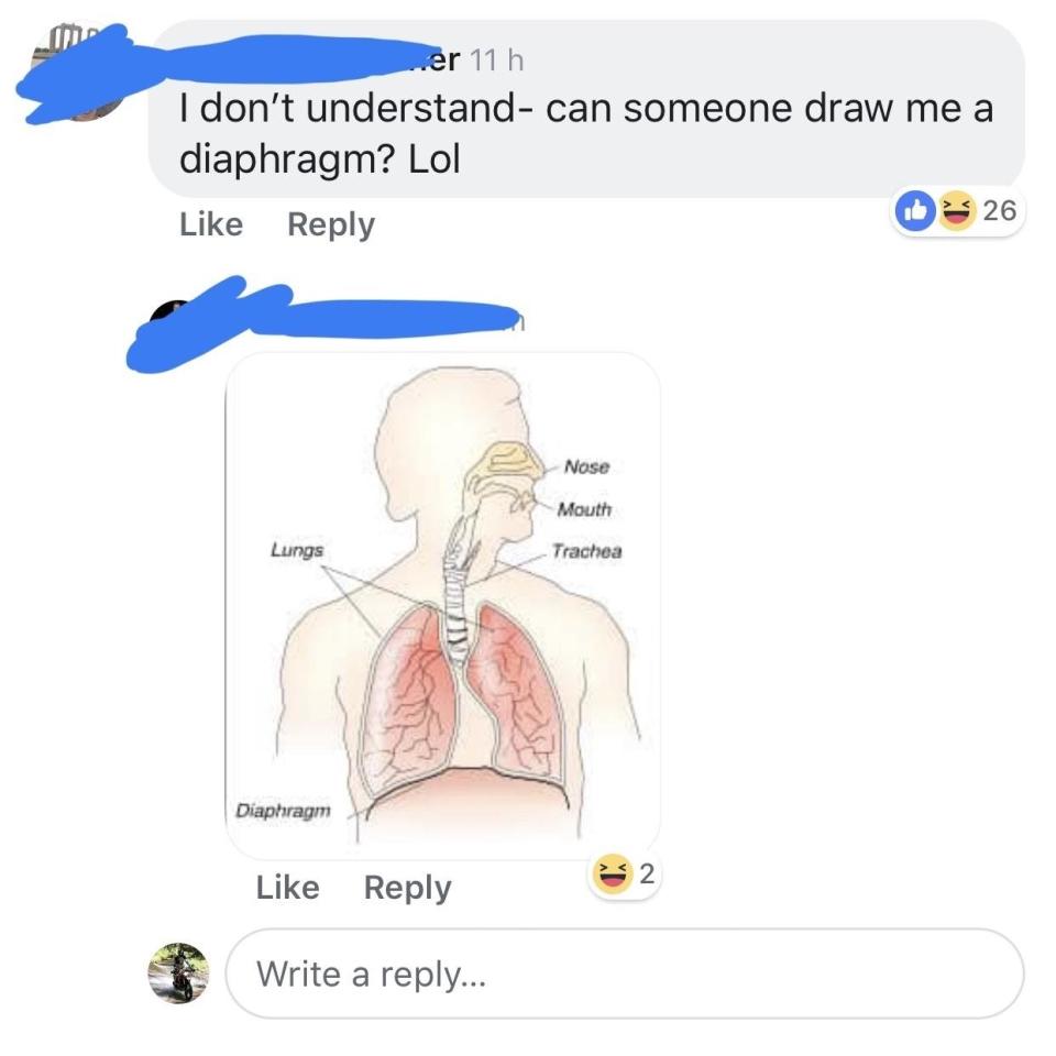 A screenshot of a social media post, with someone saying "I don't understand — can someone draw me a diaphragm?" with someone else attaching a diagram of the the human respiratory system, highlighting the diaphragm