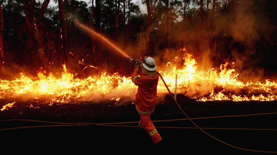 <strong>Australian bush fires: </strong>The horrific Australian bush fires and smoke from the deadly fires are linked to an estimated 445 deaths and more than 4,000 hospitalisations. The fires also killed more than <strong>500 million animals.</strong> The fire had threatened homes earlier on, but water bombing helicopters have helped keep on top of the fire and the main threat to property has passed for the moment.