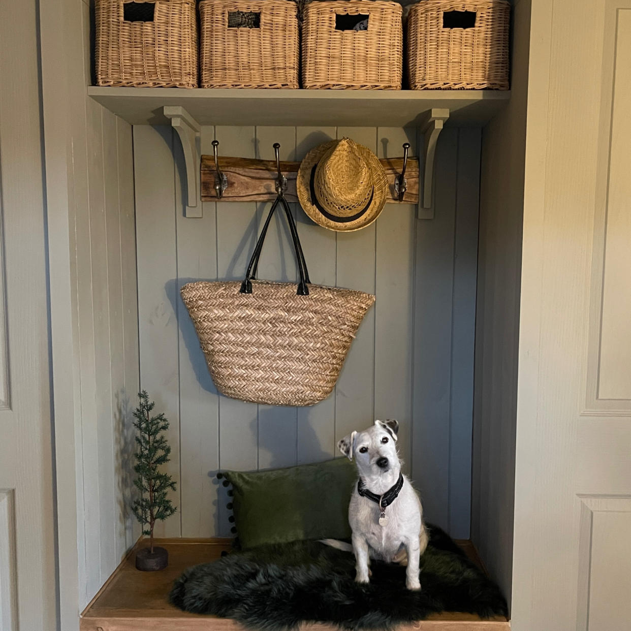  Fitted hallway storage with hooks and dog on a bench. 