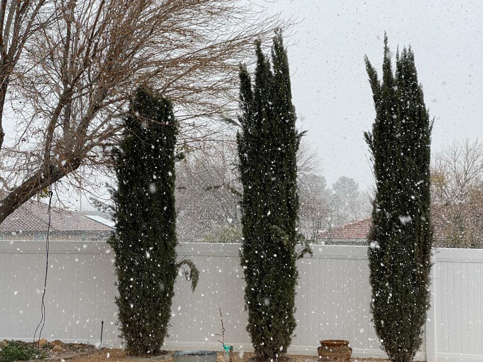 A brief flurry of snow passes through Apple Valley resident Sam Atalla's backyard, marking a rare winter phenomenon for Southern California's High Desert folks on Thursday, Feb. 23.
