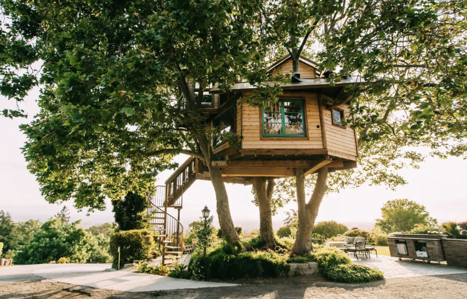 San Jose Treehouse