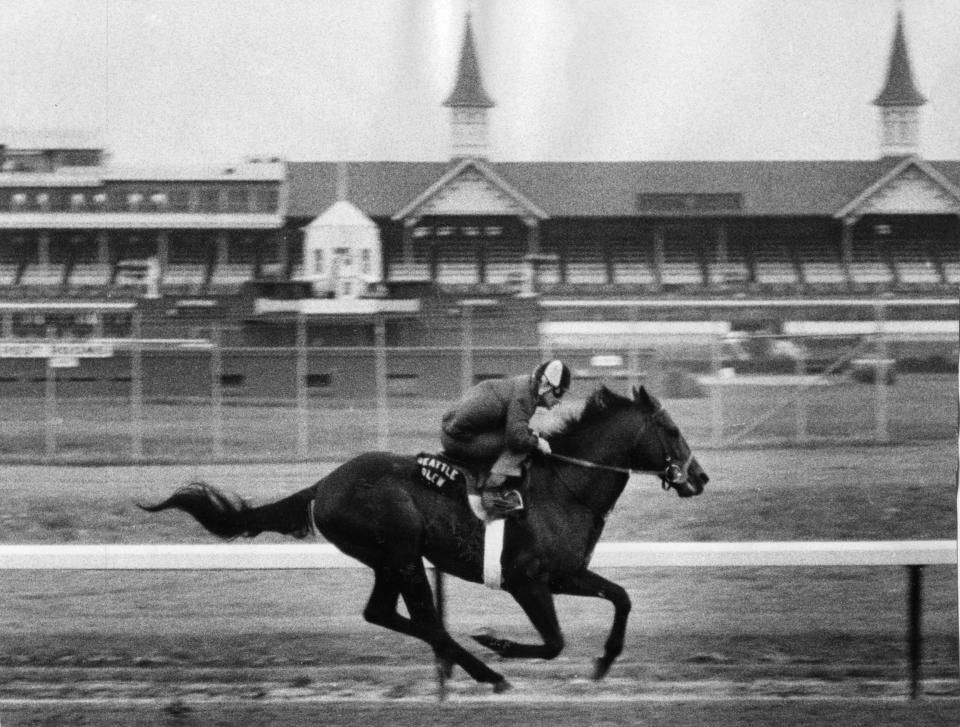 Seattle Slew, the 1977 Triple Crown winner, in a workout at Churchill Downs ahead of the Kentucky Derby.