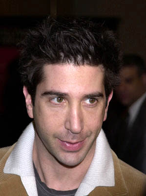 David Schwimmer at the Hollywood premiere for The Dancer Upstairs