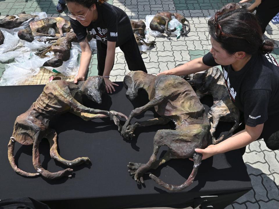 South Korean animal rights activists display likenesses of dead dogs during a protest against the dog meat trade in front of the National Assembly in Seoul, South Korea.