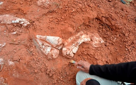 The discovery pushes the date of the earliest known 'giant' dinosaur back by around 30 million years - Credit: AFP