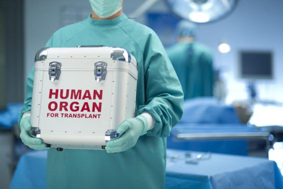 España, líder mundial en donación y trasplantes, ha presentado ante la ONU un proyecto de Resolución para hacer efectiva en todo el mundo la lucha contra el tráfico de órganos y el turismo de trasplantes. (Foto: Getty)