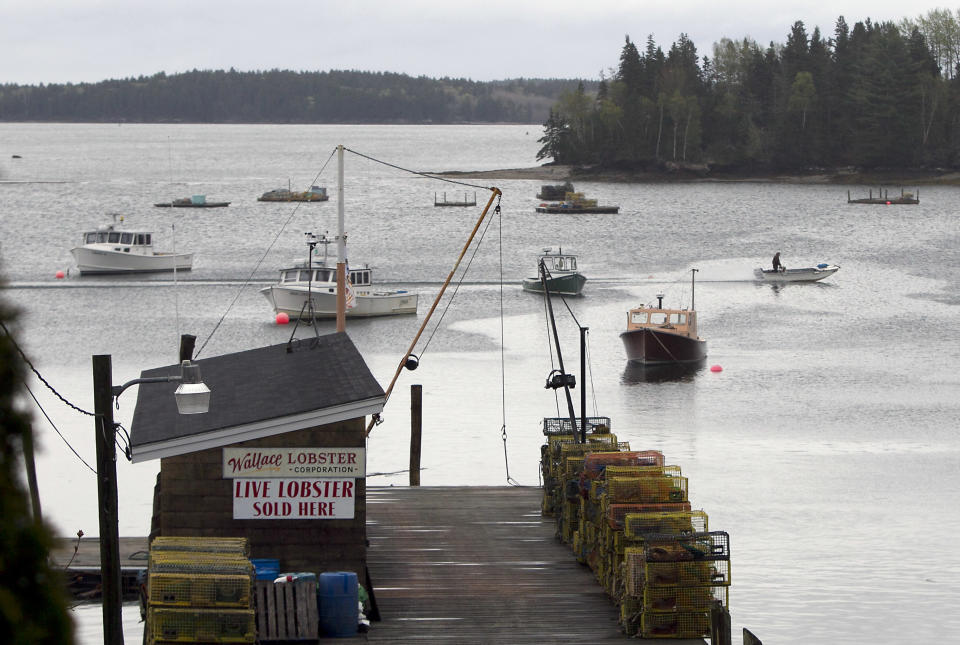 A fisherman motors his skiff past lobster boats moored in Friendship, Maine, Thursday, May 10, 2012. Two lobster boats in the harbor were recently sunk by vandals. (AP Photo/Robert F. Bukaty)