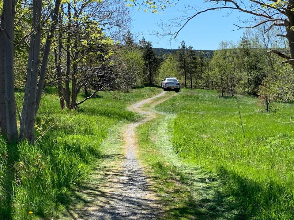 Police maintain an active presence in a wooded area on Monday after human remains were found in a part of Waterford Valley, which police are now treating as a suspicious death investigation.