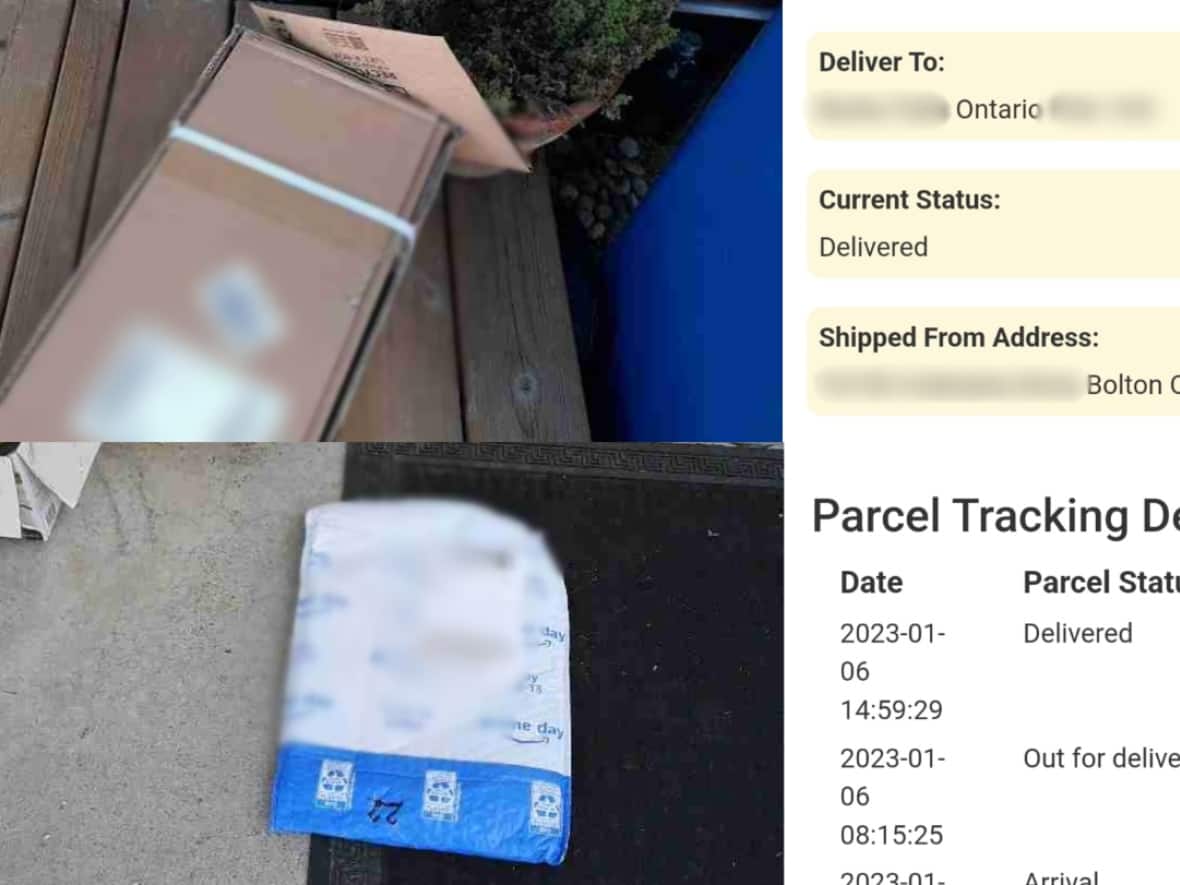 Photos obtained by CBC before BNI's unsecured tracking database was made inaccessible show it was easy to see delivery photos and details.  (CBC - image credit)