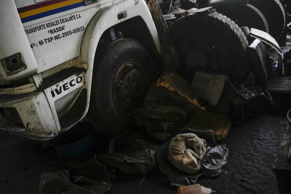 Un perro raquítico llamado Propaganda duerme junto a un camión propiedad de Alfredo Rosales que solía transportar carbón colombiano a través de la frontera con Venezuela, el 4 de agosto de 2022 en San Juan de Colón, Venezuela. Rosales dijo que tenía una flota de más de 50 camiones antes de que la frontera fuera cerrada parcialmente por el gobierno venezolano en 2015, pero tuvo que reducirla a cuatro camiones y vender el resto como chatarra cuando el negocio de importación de carbón cayó. (AP Foto/Matias Delacroix)