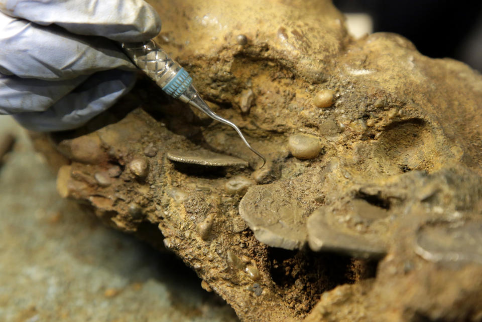 In this 2016 file photo, archaeologist Marie Kesten Zahn works to remove silver coins from a concretion recovered from the wreckage of the pirate ship Whydah Gally at the Whydah Pirate Museum, in Yarmouth, Mass. (Photo: ASSOCIATED PRESS)