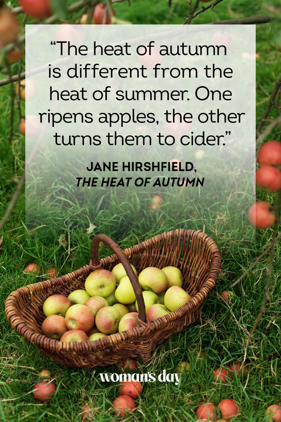 11) Jane Hirshfield, The Heat of Autumn