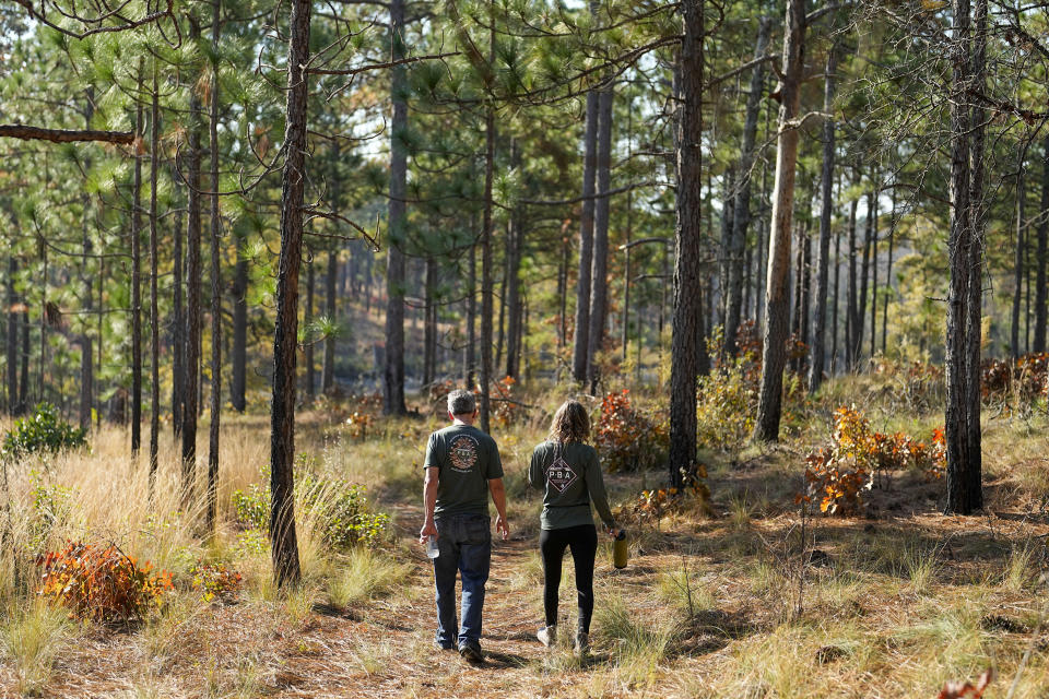 Courtney Steed and Jesse Wimberley walk on his property Wednesday, Nov. 8, 2023, in West End, N.C. Grassroots forest burners are proving key to restoring a fire-loving ecosystem across the South. (AP Photo/Chris Carlson)