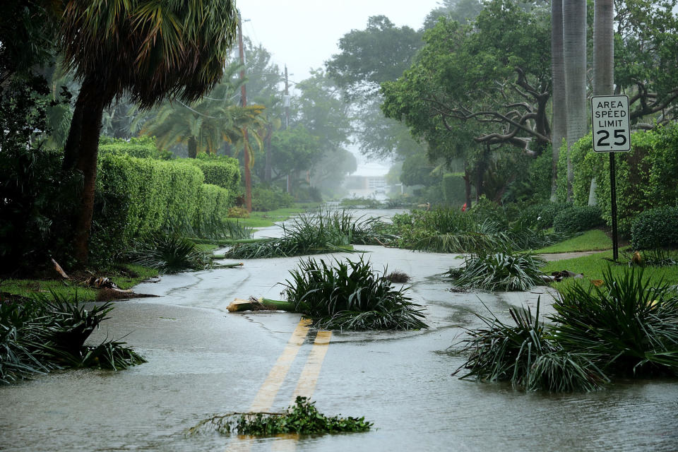 Broken tree branches block roads in Coral Beach.