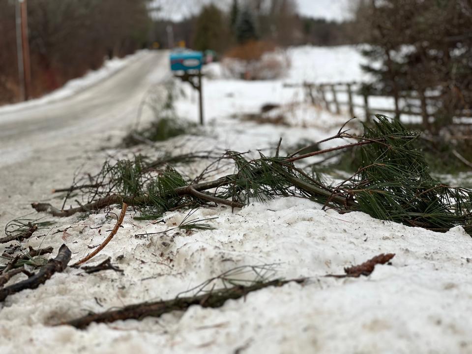 Debris litters the side of a neighborhood road in Williston on Jan. 10, 2023. The pieces are remnants of a downed tree from heavy winds that blew through during an evening and overnight winter storm.