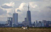 <p>En primer plano una cebra y en el horizonte un rascacielos. Parece una locura, pero es tal cual.<br><br>Foto: REUTERS/Amir Cohen </p>