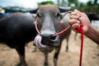 As farming became mechanised in Thailand, buffaloes have taken on a symbolic role