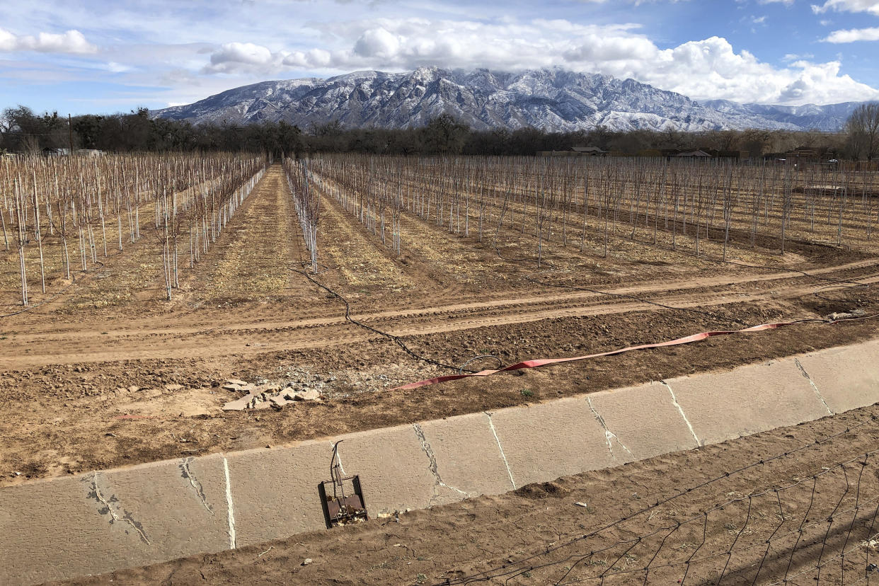 IMAGE: Corrales, N.M.  (Susan Montoya Bryan / AP)