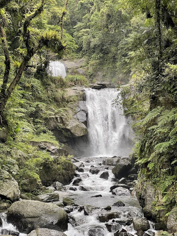 推動森林生態旅遊　新竹林管處徵策略夥伴