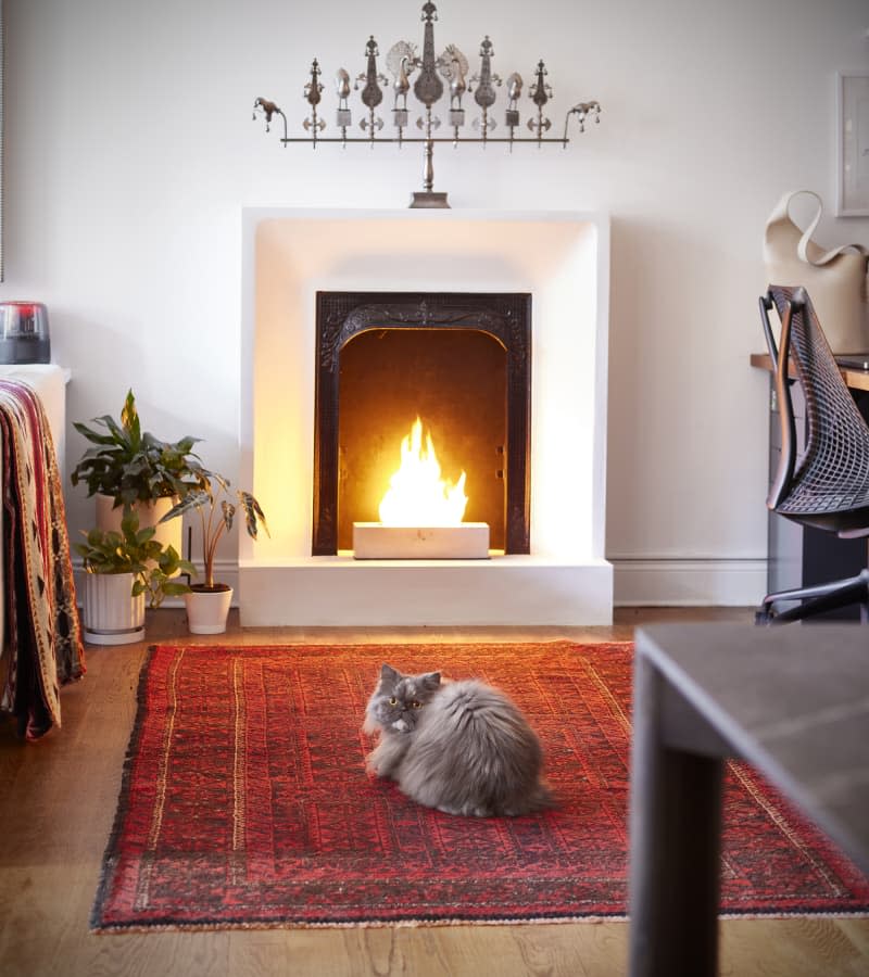 Cat lays on red rug in front of fireplace.