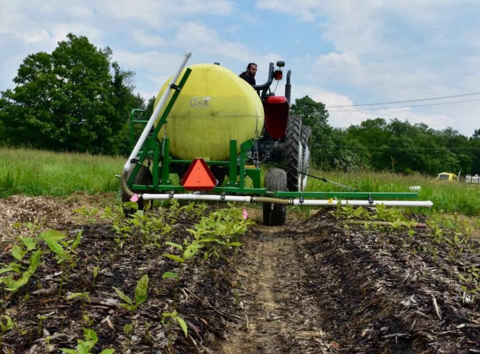 Establishments like Rich Earth Institute are using urine as plant fertilizer. Rich Earth Institute