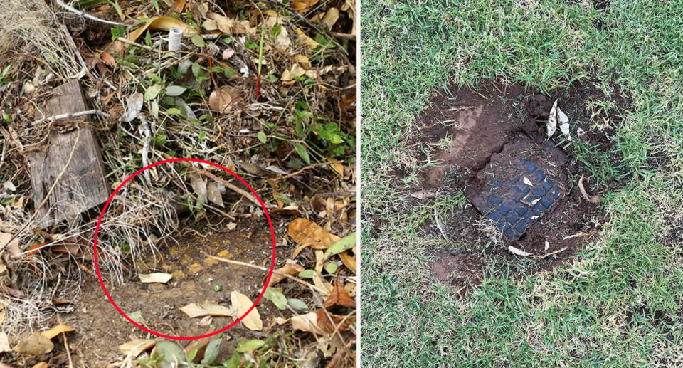 Left: Hidden yellow fire hydrant under foliage. Right: Fire hydrant dug up beneath grass. 