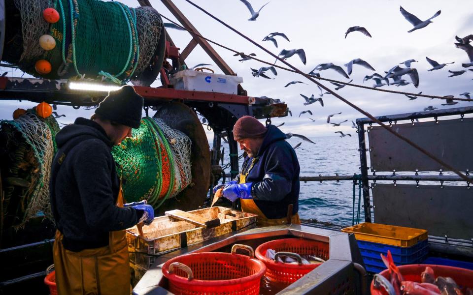 Fishermen gut freshly caught fish aboard fishing boat 'About Time' while trawling in the English Channel from the Port of Newhaven, East Sussex, U.K - Jason Alden /Bloomberg