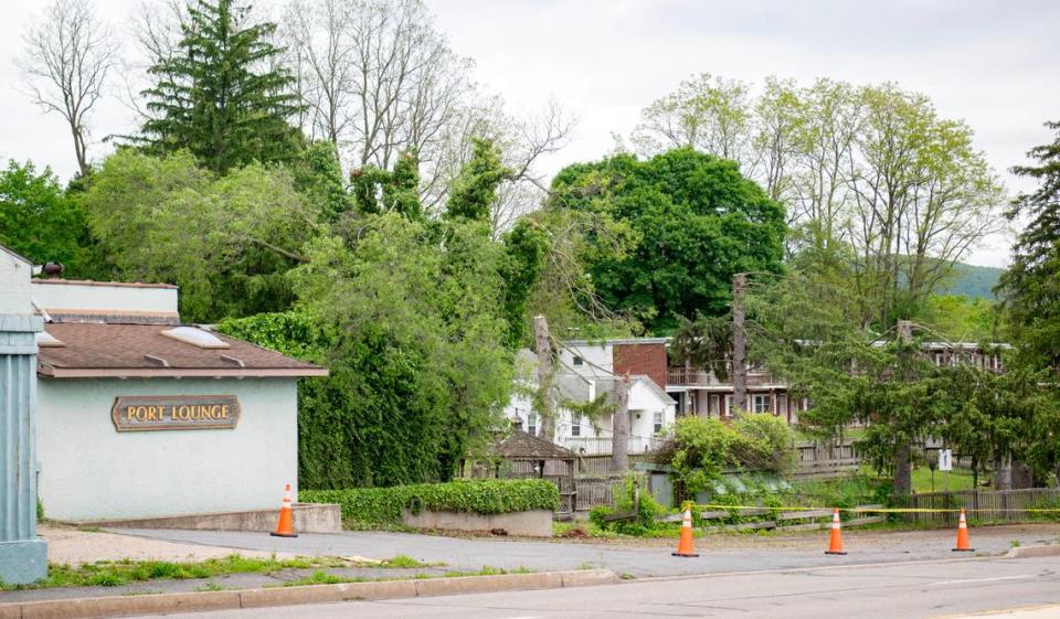 Trees are being cut down on the former Autoport property along South Atherton Street on Friday, May 17, 2024.