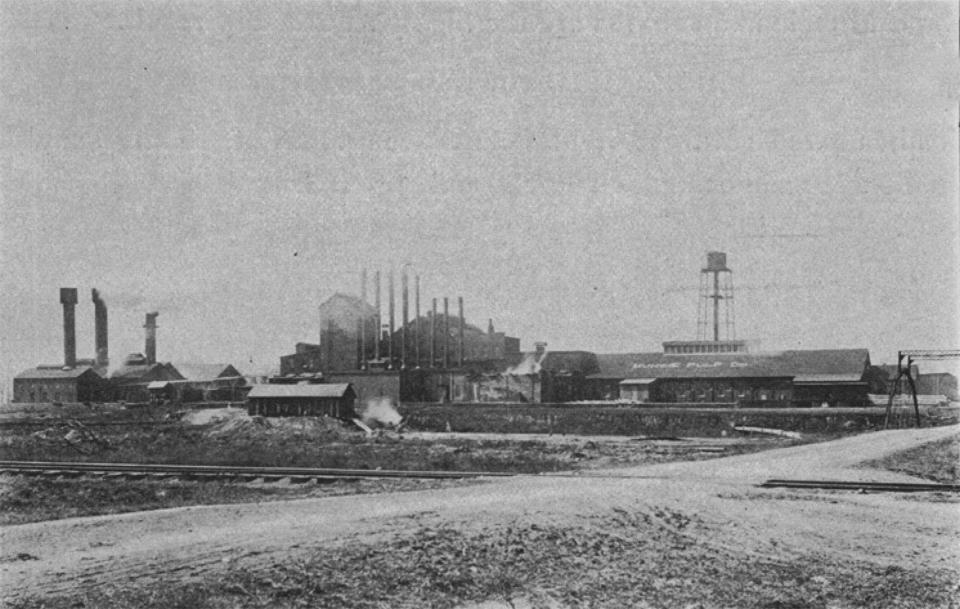 Muncie Pulp Co. in 1895.