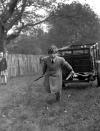 <p>Edward pulls a cart during a horse show in Windsor.</p>