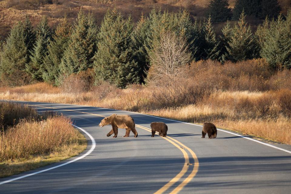 Kodiak Island