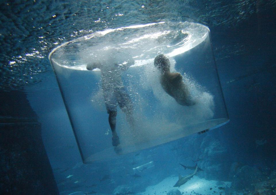 Nick Vujicic, an Australian motivational speaker who was born without limbs, dives with sharks at the Marine Life Park in Singapore