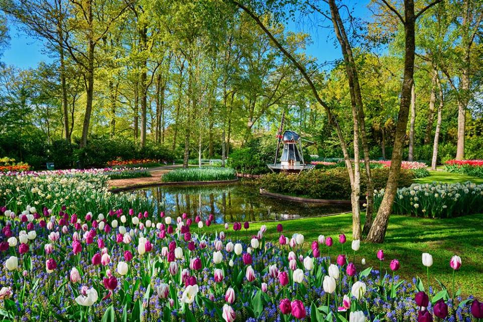 庫肯霍夫花園（Image Source : Getty Creative）