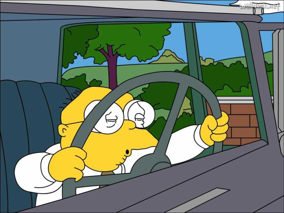 Hans Moleman in The Simpsons (20th Century Fox)