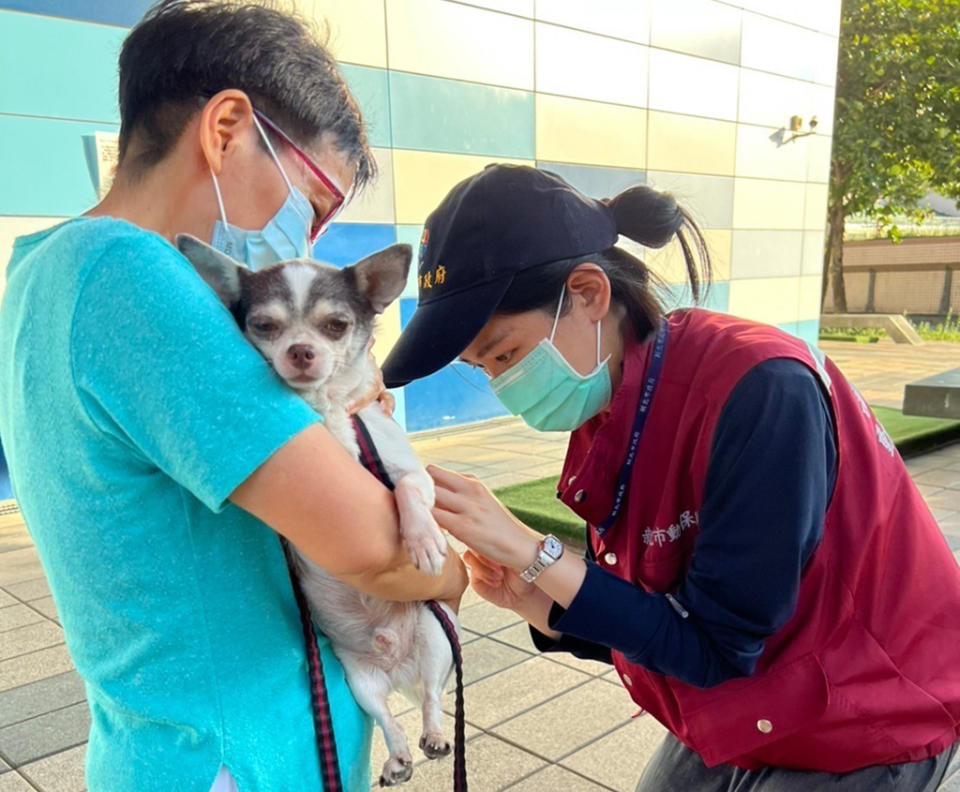 活動提供免費狂犬病疫苗注射與寵物晶片登記。