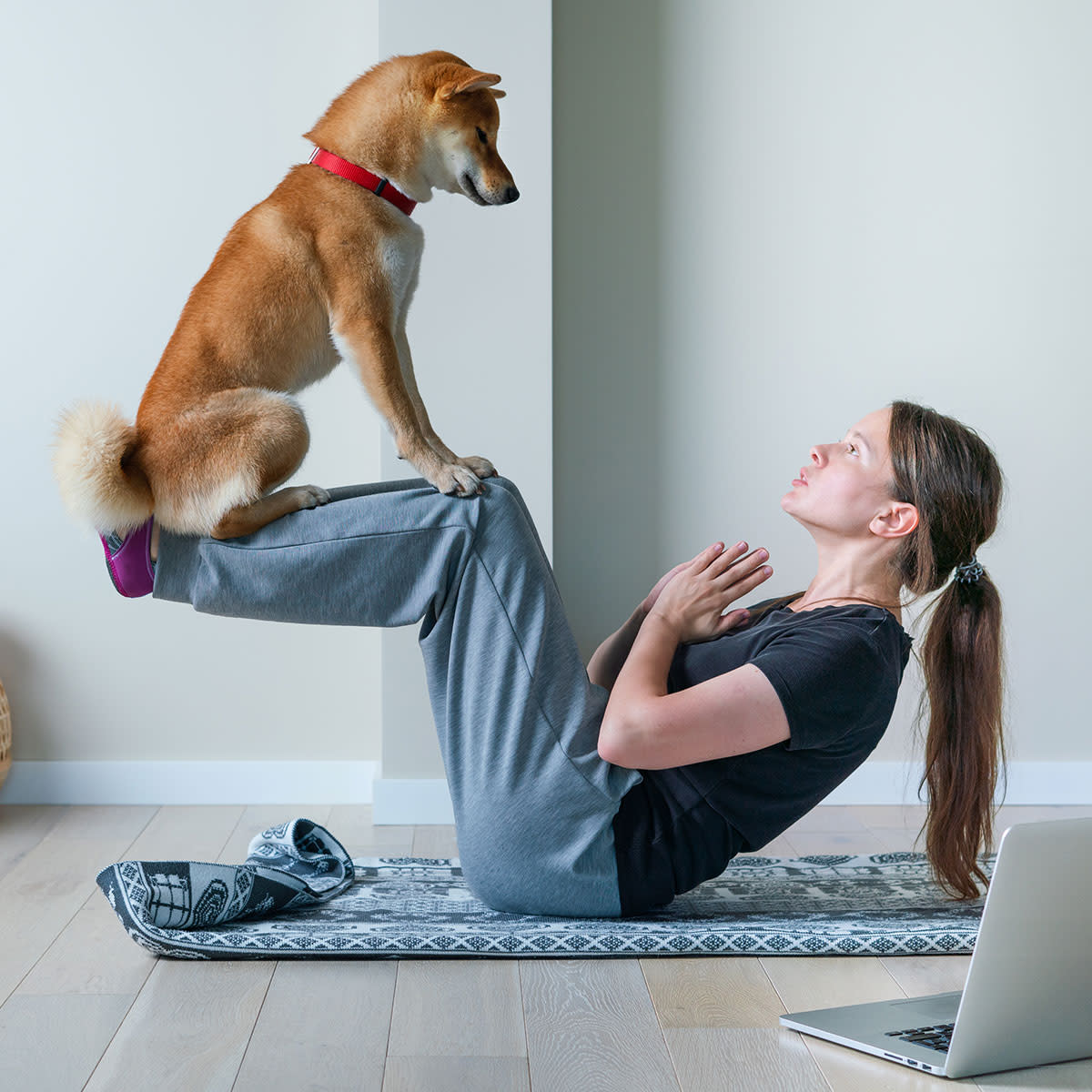 woman practicing yoga with shiba dog balancing on her leg