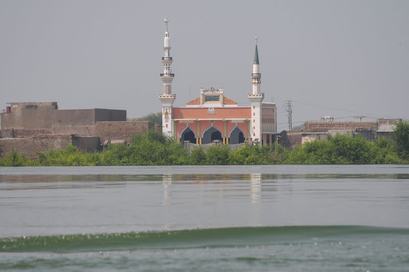 Monsoon season in Sehwan