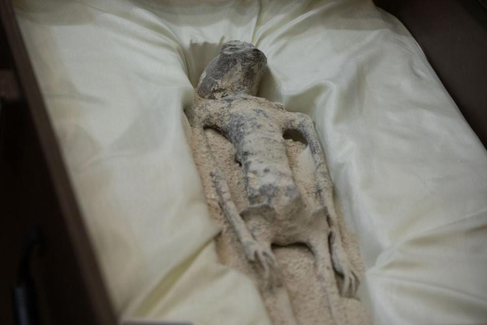 A small, humanoid mummified skeleton rests on a pillow in a sarcophagus.