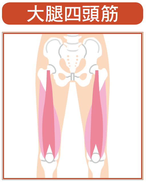 伸展膝蓋肌肉體操：鍛鍊這裡！大腿四頭肌