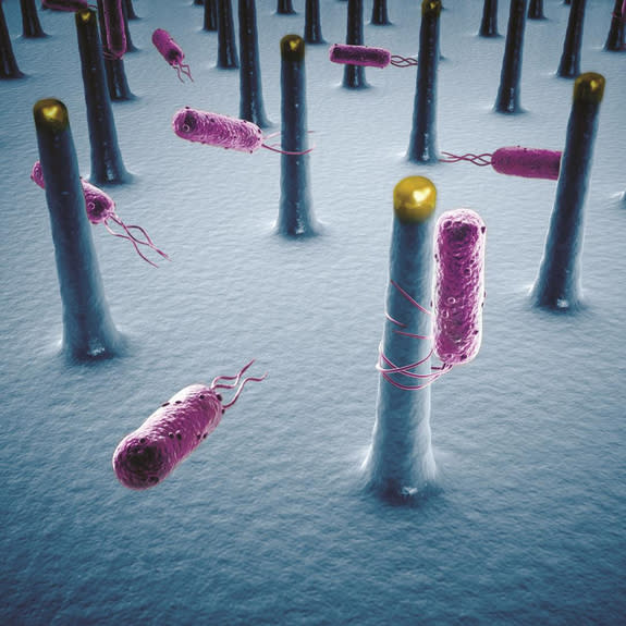 An artist's conception of bacteria wrapping themselves around nanowires to feed on their electrons in the University of California, Berkeley, natural-synthetic photosynthesis system.