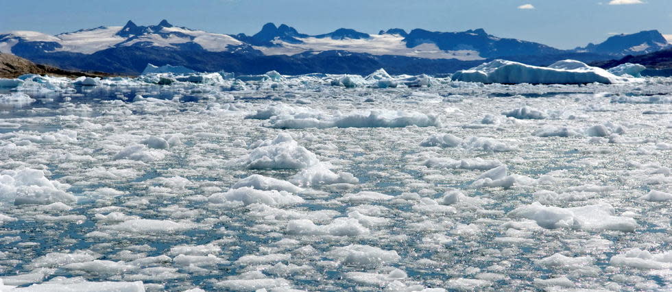 L'Arctique présente la particularité d'être l'une des zones du monde qui se réchauffent le plus rapidement. 
