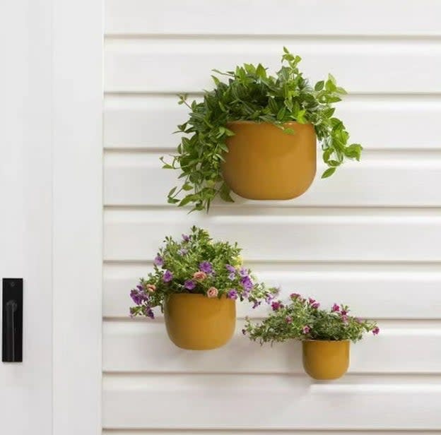 the three wall planters of different sizes hanging on an outside wall with flowers inside