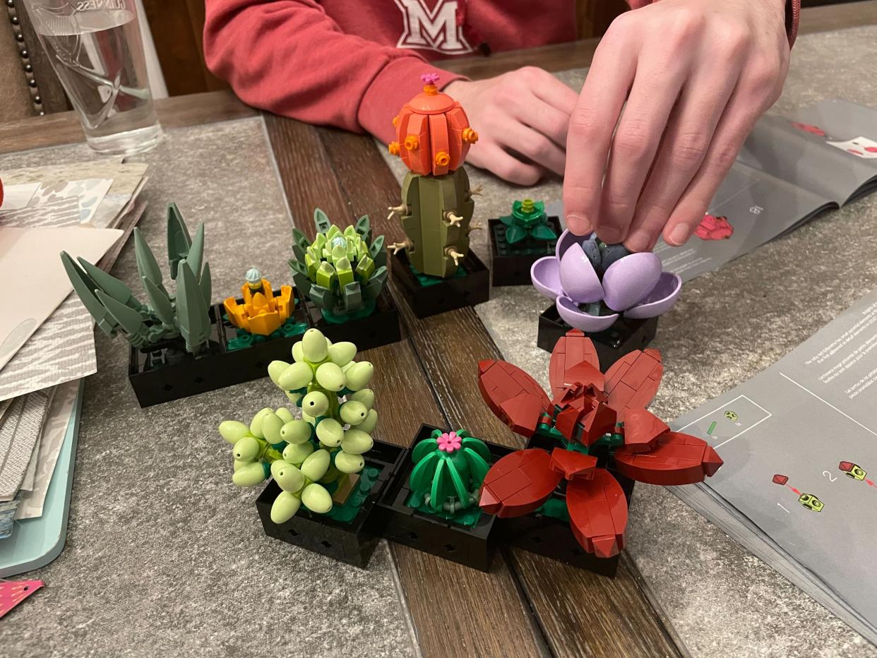 Editorial intern Zoe Malin found the Lego Succulents Plant Decor Building Kit is a great crafting activity. (Courtesy Zoe Malin)