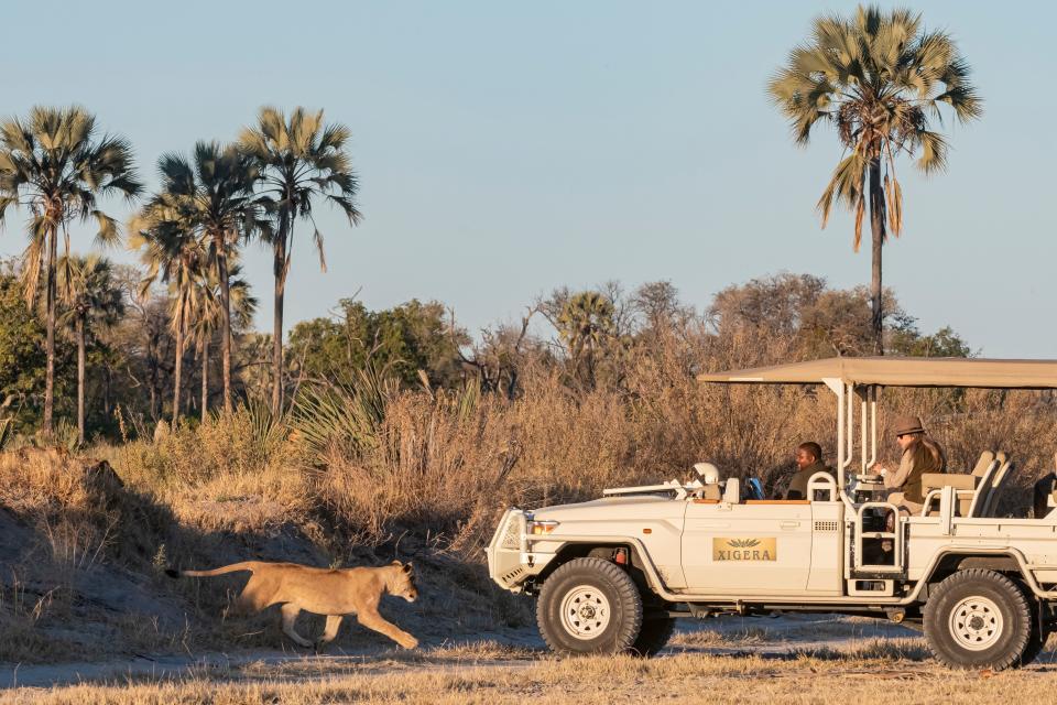 Xigera Safari Lodge - Botswana - Game Drive - Publicity - 2022