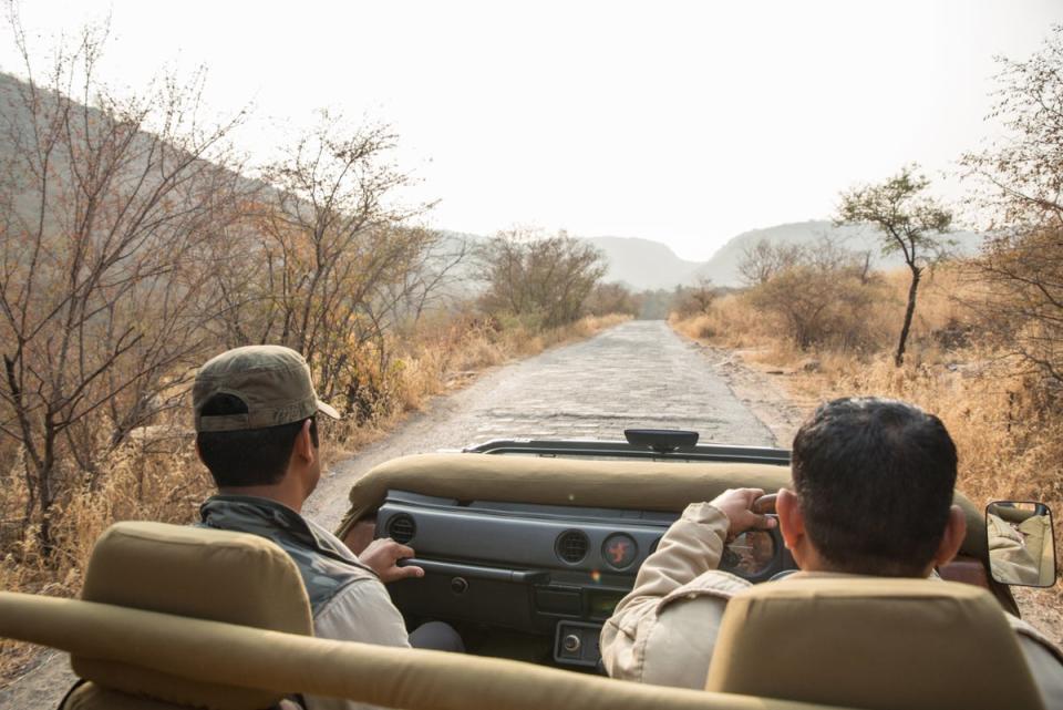 Out on safari, looking out for Bengal tigers (Aman)