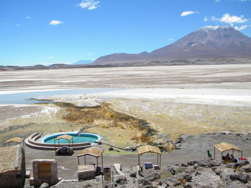 Scientists rediscover enigmatic frog from the Atacama desert that had not been seen in 80 years