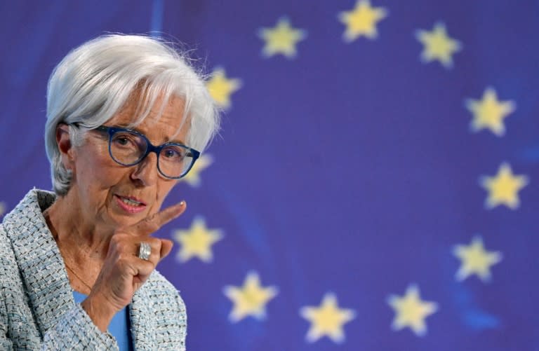 ECB president Christine Lagarde warned that the path of future rate cuts was 'very uncertain' (Kirill KUDRYAVTSEV)