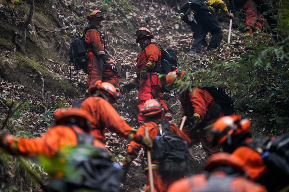 A fire crew cuts down foliage and trees in Boulder Creek, Calif. (Kent Nishimura/Los Angeles Times via Getty Images)