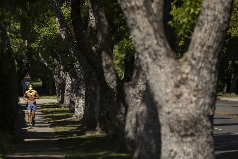 LOS ANGELES, CA-MAY 7, 2020: A jogger makes his way down a tree lined 6th St. in Los Angeles. (Mel Melcon/Los Angeles Times)